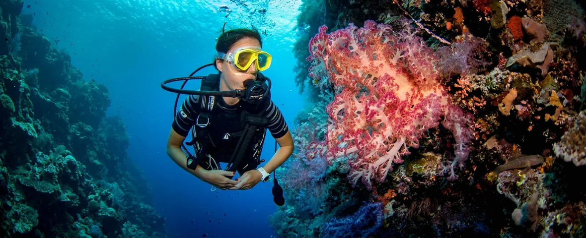 Diving + snorkelling