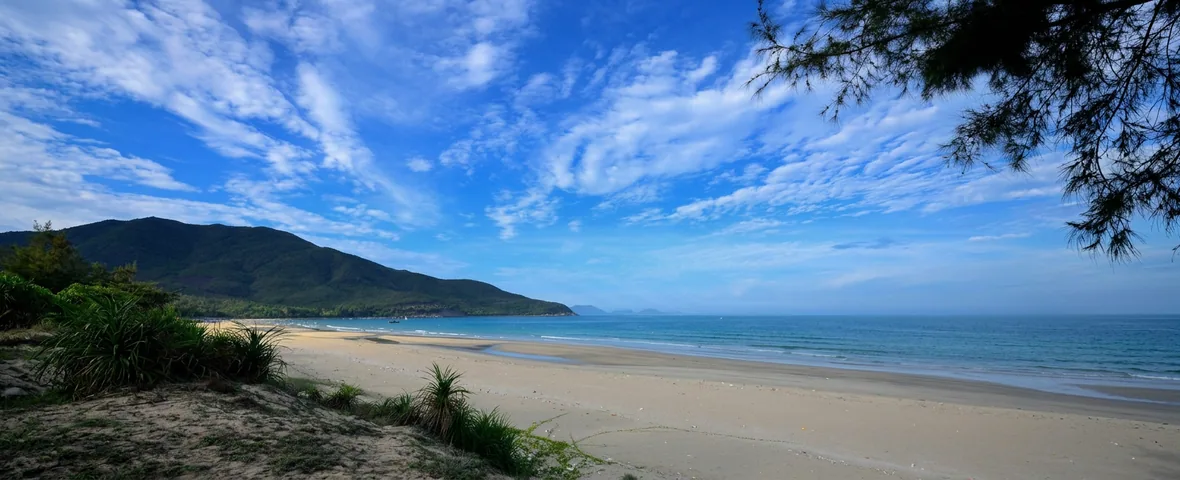 Wild beach and the Dragon Maze