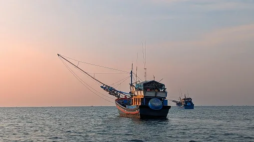 Sea Fishing