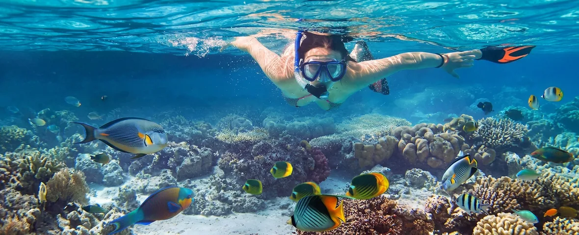 Snorkelling and a day on the boat